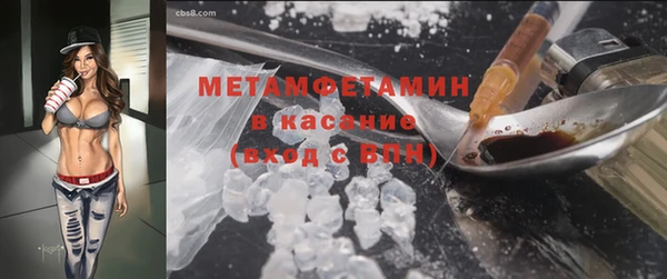 гашик Вяземский
