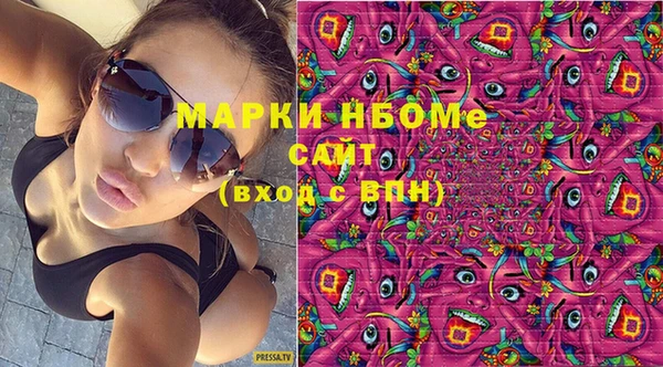 гашик Вяземский