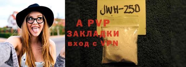 гашик Вяземский