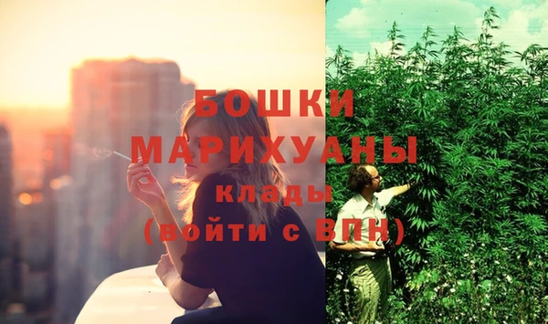 гашик Вяземский