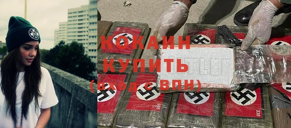 гашик Вяземский