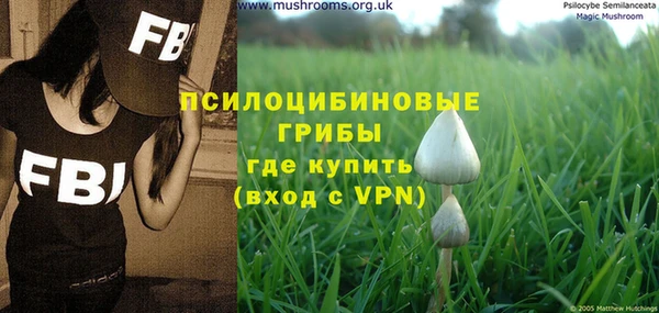 гашик Вяземский