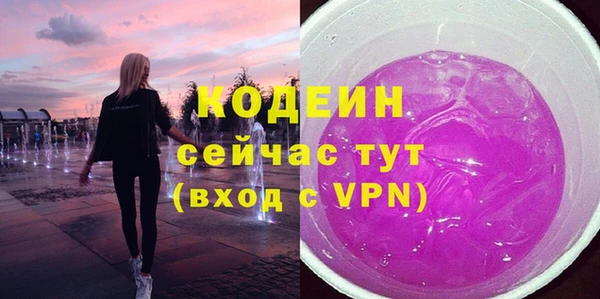 гашик Вяземский