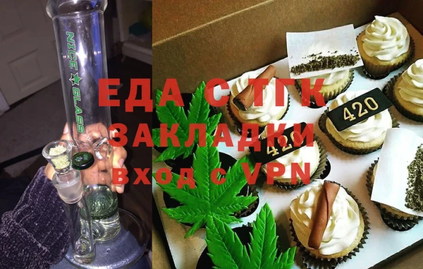 гашик Вяземский