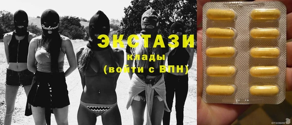 гашик Вяземский