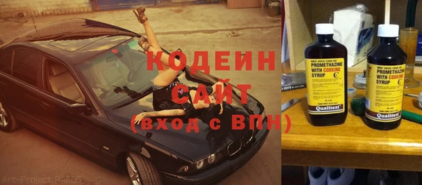 гашик Вяземский
