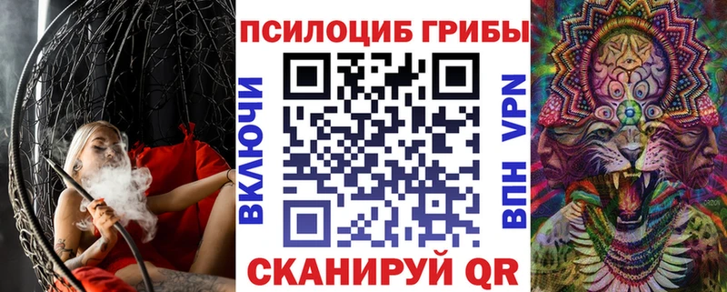 Псилоцибиновые грибы Cubensis  Сыктывкар 